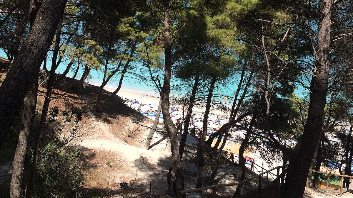 Marche